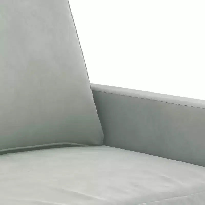 vidaXL 2-seater Sofa Light grey Velvet, Metal, Textilene Medium