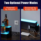 LED Lighted Liquor Shelf 2/3/4 Tier - Acrylic Backlit Bottle Rack with Remote/App Control, Stylish Holder for Home Bar, Wine & Whiskey